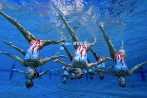 aoke-沙尔克04官宣在即！传奇射手哲科携10号战袍回归德甲，48小时内完成体检