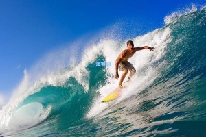 澳客官网首页：多特蒙德2-0力克霍芬海姆，布兰特与施洛特贝克闪耀全场揭示战术精髓